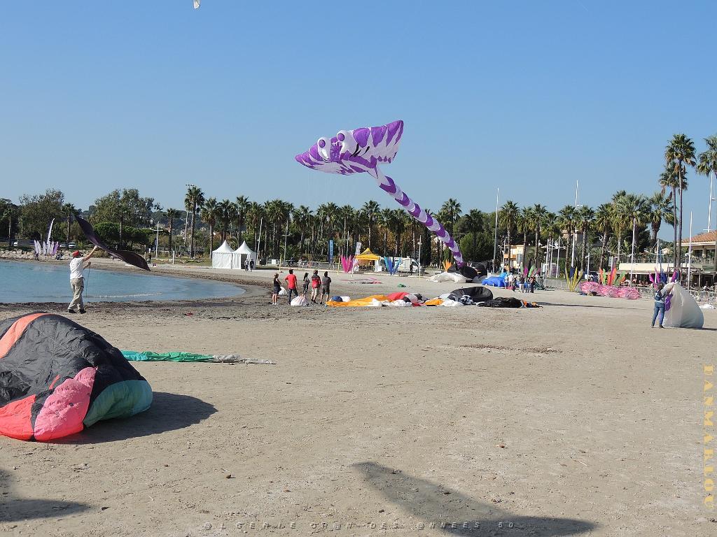 2024 11 02 EN FLANANT SUR SANARY (102).jpg